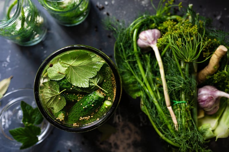 Food Preservation Techniques