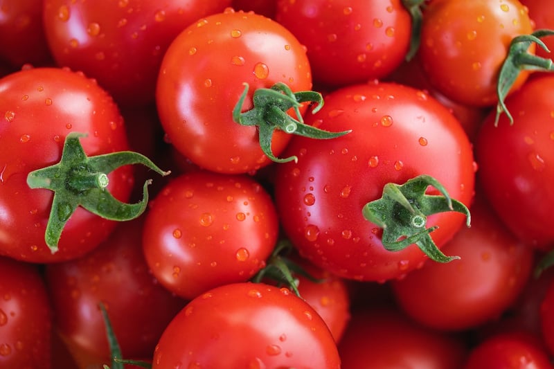 Summer tomatoes